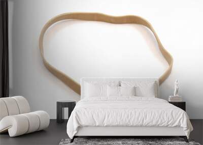 Brown rubber band Wall mural