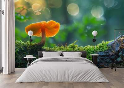 glowing orange mushroom on a mossy log in a magical forest Wall mural