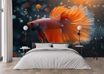 Siamese fighting fish in underwater scene Wall mural