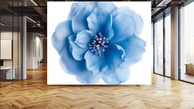 blue flower isolated on white Wall mural