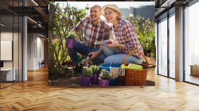 Family work in the garden. Woman and man grow roses Wall mural