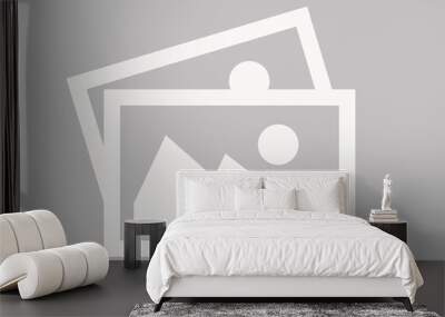 Placeholder Image Not Available Design of Icon Illustration Wall mural