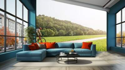 Panorama shot of cyclist on racing cycle in a rural landscape in summer with scenic lens flare Wall mural