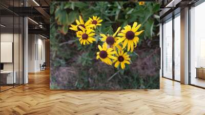 Yellow Flowers in the Garden Wall mural