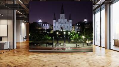 jackson square night Wall mural