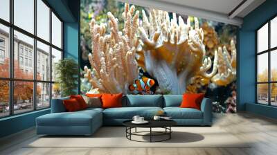 Ocellaris clownfish 2 Wall mural