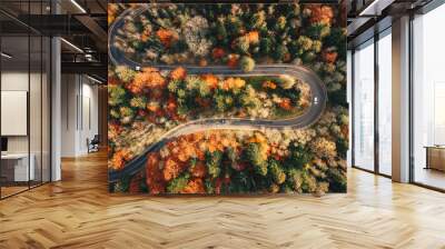 Winding mountain road trough the forest in the autumn with cars passing on the road Wall mural