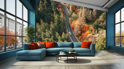 Winding mountain road trough the forest. Aerial view. Wall mural