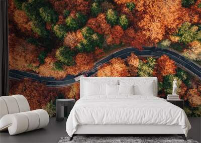 Winding road in the forest in the fall with truck on the road Wall mural