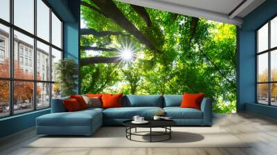 Beautiful forest in the spring and lush green foliage on a bright sunny day Wall mural