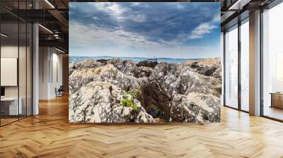 Beautiful rock formations along the Adriatic Sea coast in summer Wall mural