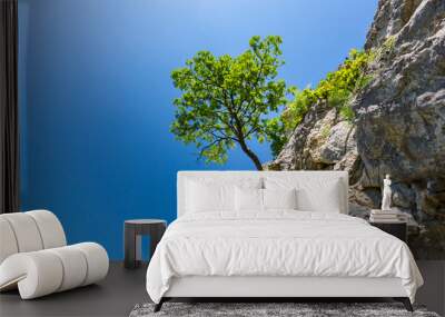 Lonely tree in spring, hanging from rocks in the mountains, isolated on clear background Wall mural