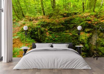 Mountain scenery in the Alps in summer, with green forests, on a rainy day Wall mural