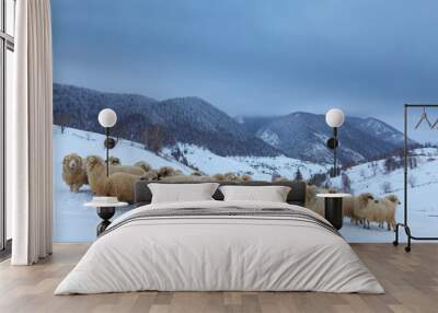 Sheep in the mountains in winter Wall mural