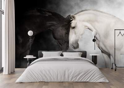 Black and white horse cople portrait Wall mural