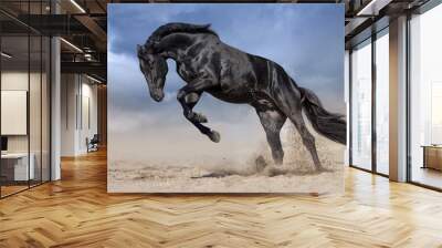 Black horse stallion play and jump in desert dust Wall mural