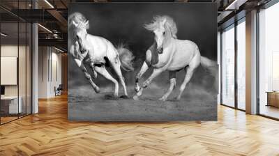 Cople horse in motion in desert  against dramatic dark background. Black and white picture Wall mural