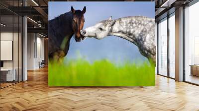 Couple of horse portrait in green spring pasture. Horse communication Wall mural