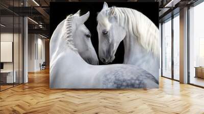 Couple of white horse portrait Wall mural