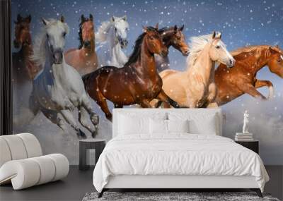 Horse herd run fast in winter snow field Wall mural