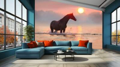 Horse standing in river at sunrise Wall mural