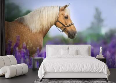 Palomino horse with long mane in lupine flowers at sunset Wall mural