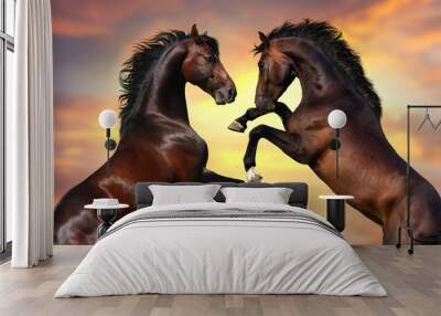 two bay stallion with long mane rearing up against sunset sky Wall mural