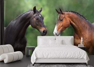 Two Horse close up portrait in motion against green background Wall mural