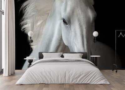 White horse portrait with long mane Wall mural