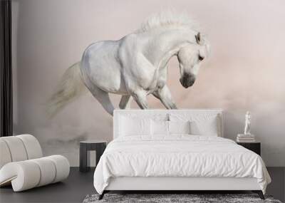 White stallion in light background Wall mural