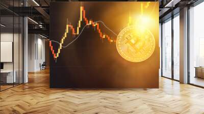 Bitcoin chart . Cryptocurrency is the currency of the future.  Wall mural