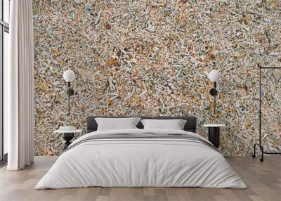 Coral Pebbles Wall mural