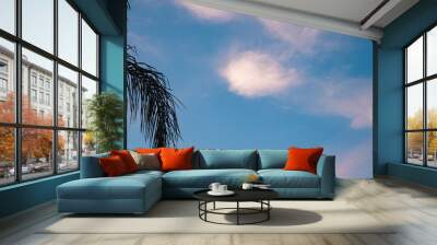 Palm tree and sunset clouds panorama  Wall mural