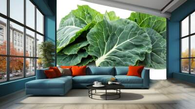 Collard Green on white background ,  Wall mural