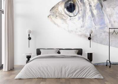 two fresh fish head on white Wall mural