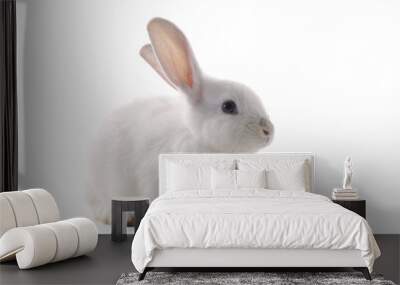 white rabbit on the white background Wall mural