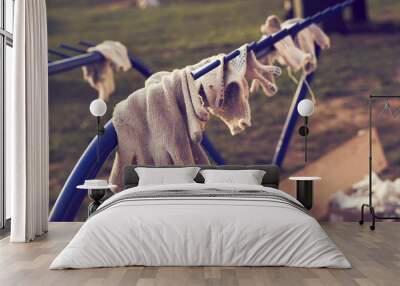 Construction gloves are dried on a blue metal rack at the end of the working day. Wall mural