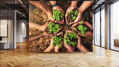 Diverse group of people holding sustainable plants in an eco friendly environment for nature conservation. Closeup of hands planting in fertile soil for sustainability and organic farming Wall mural