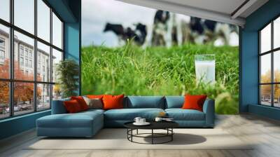 Field, closeup glass of milk and cows in the background of a farm. Farming or cattle, dairy or nutrition and agriculture landscape of green grass with livestock or animals in countryside outdoors Wall mural