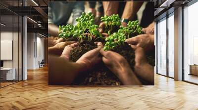 Hands planting fresh green plants showing healthy growth, progress and development. Closeup of diverse group of environmental conservation people collaborating sustainability in agriculture industry Wall mural