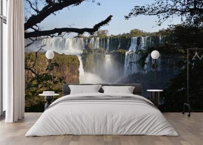 Iguazu waterfall 2 Wall mural