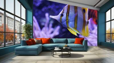 3 Wall mural