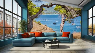 L'ile verte a la ciotat,  pose longue, magnifique mer turquoise qui reflette les ombres Wall mural