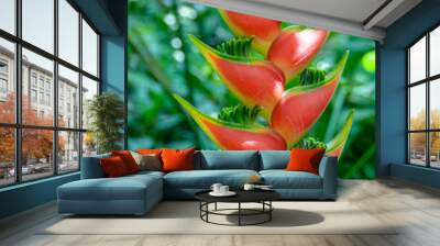 Heliconia Blossom Wall mural