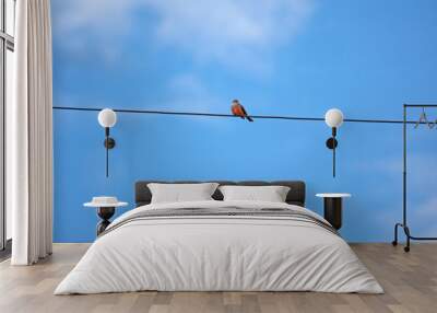 bird on a wire Wall mural