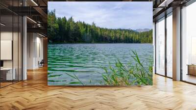 lake green water Wall mural