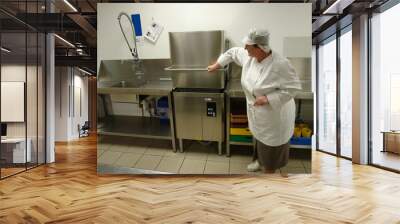 chef operating professional dishwasher Wall mural