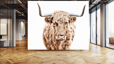 Highland cattle isolated on the white background Wall mural