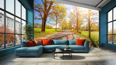 asphalt road panorama in countryside on sunny spring day Wall mural