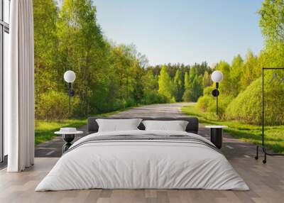 asphalt road panorama in countryside on sunny summer day Wall mural